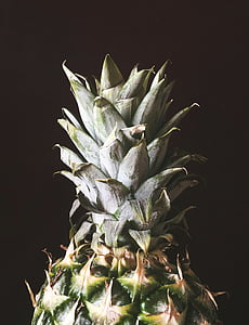 close-up photo of pineapple thumbnail