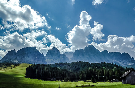 northfork pines and mountain range thumbnail