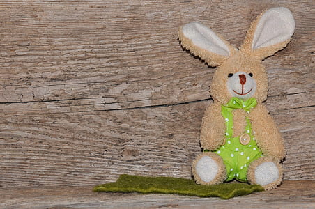 brown rabbit plush toy on green mat thumbnail