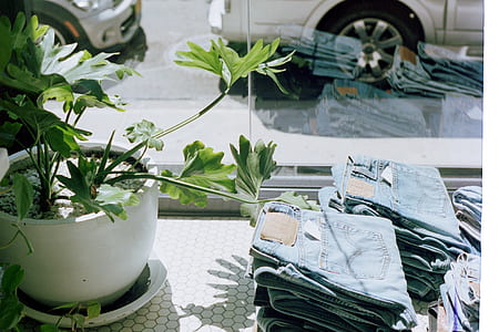 folded blue denim bottoms beside potted green plant beside clear glass window with view of gray car on gray pavement thumbnail