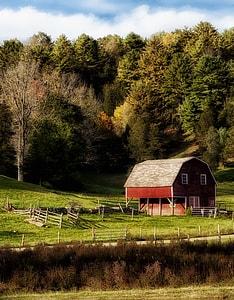 brown and gray barn house near tall trees under cirrus clouds thumbnail