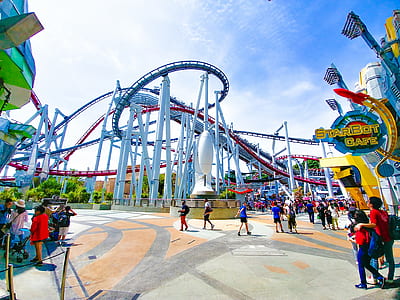 wide angle photography of people at park thumbnail