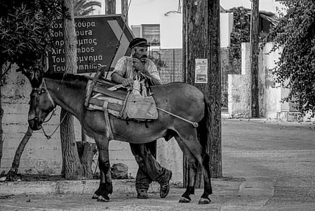 grayscale photography of man standing beside horse thumbnail