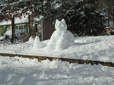 cat snow formation thumbnail