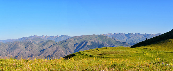 green field near mountains thumbnail