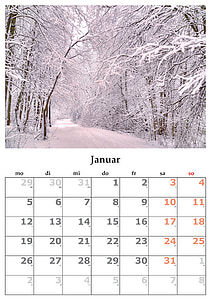 January calendar thumbnail