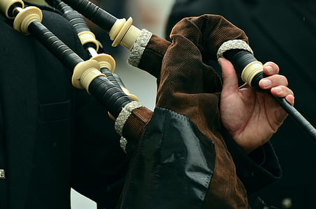 person holding brown and black bag pipe thumbnail