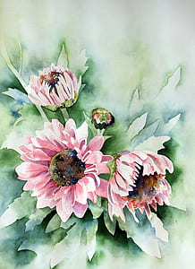 pink daisy flowers painting thumbnail