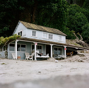 white and gray wooden 2-storey house beside forest mountain thumbnail