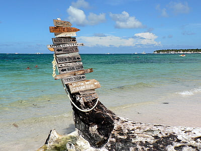 brown wooden signage near shore thumbnail