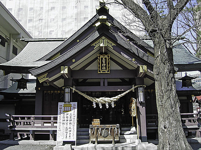 Miyoshi Shrine in Sapporo, Japan thumbnail