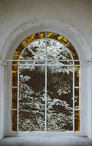 green tree behind arch-shaped window thumbnail