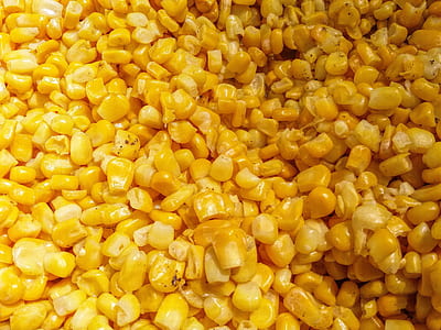 fill the frame photography of corn bits thumbnail