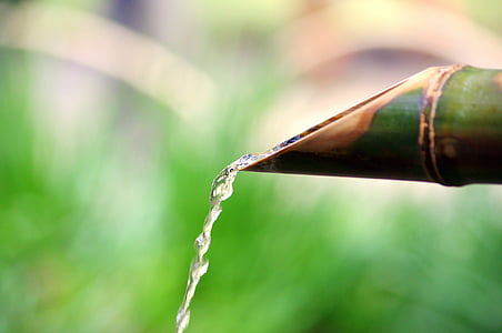 selective focus photography of red bamboo stick with water thumbnail