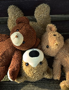 three brown bear plush toys thumbnail