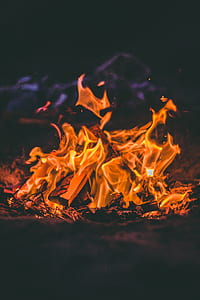 gamma photography of bonefire thumbnail