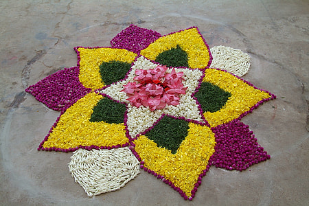 assorted-color flowers on gray concrete pavement thumbnail