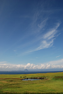 landscape photography of grass thumbnail