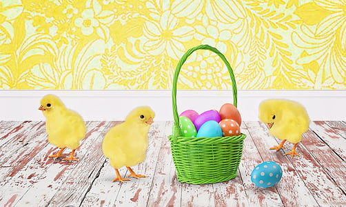three yellow chicks beside green basket with easter eggs thumbnail