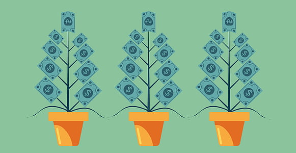 Money Growing on Trees - Capital Appreciation Concept thumbnail