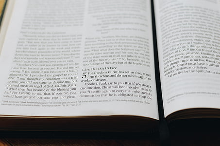 closeup photography of book page thumbnail