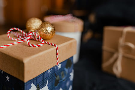 Christmas gifts for a cute little dog thumbnail