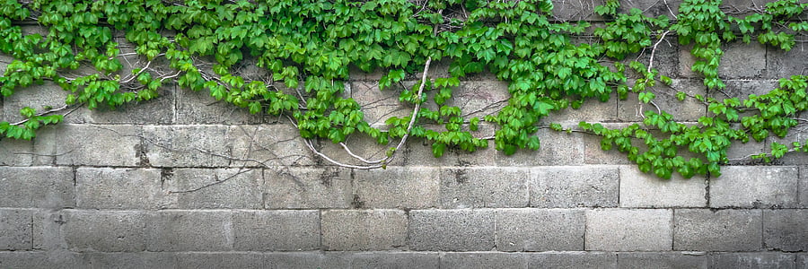 gray bricks thumbnail