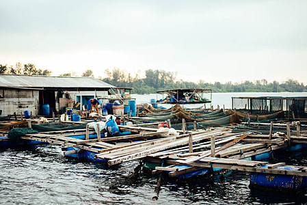 boat, boat house, building, marina thumbnail