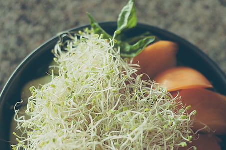 alfalfa sprouts in black bowl thumbnail