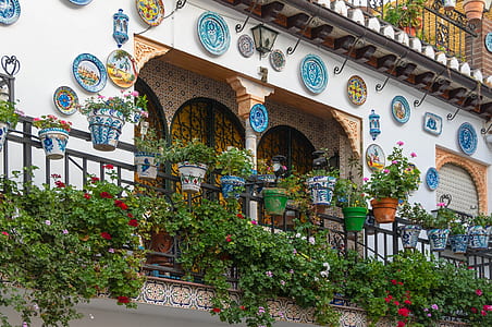 white and beige concrete house balcony filled with flowers thumbnail
