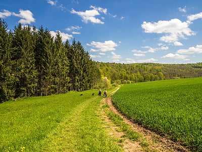 people walking on field pathway thumbnail