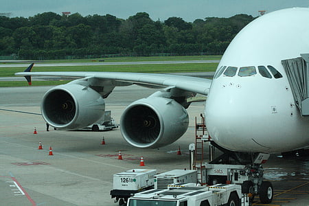 white airplane thumbnail