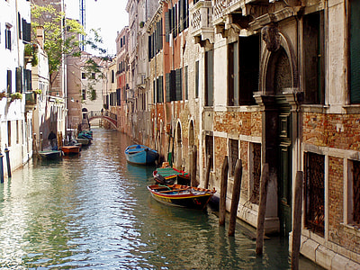 boats docked beside buildings thumbnail