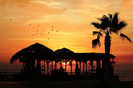silhouette photo of beach cottage during sunset thumbnail