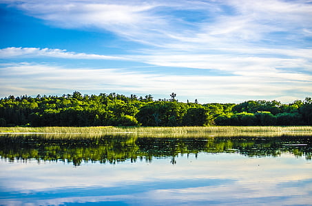 green field near trees under blue skies thumbnail