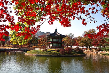 brown and green gazebo surrounded by red trees beside body of water photography thumbnail