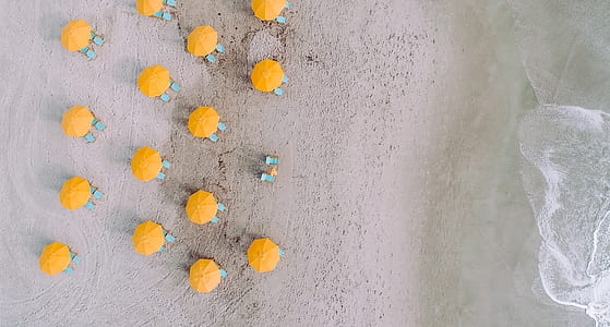 yellow umbrellas beside sea thumbnail