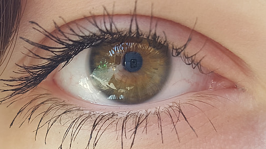 women's brown eye pupil thumbnail