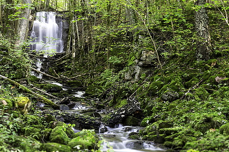 flowing river near trees and rocks with moss thumbnail