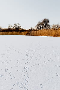 In middle of frozen lake thumbnail