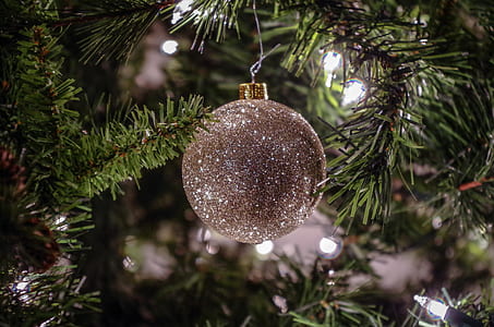 closeup photo of silver bauble hanging on christmas tree thumbnail
