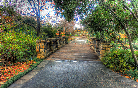 brown wooden bridge thumbnail