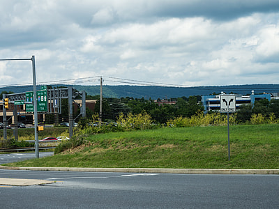 green grass field near road thumbnail