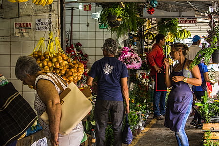 Photo of People Standing on Grey Concrete Surface Surrounded With Plants and Vegetables thumbnail
