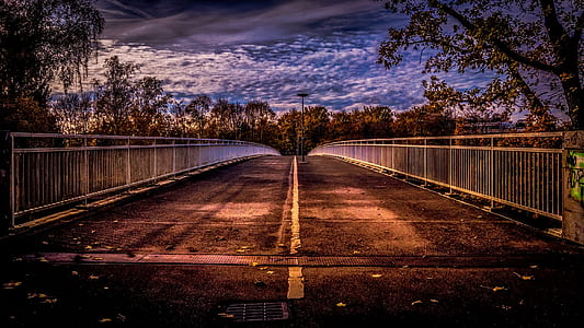 brown concrete bridge near trees at daytime thumbnail