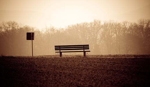 black bench near woods thumbnail