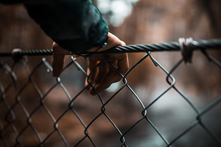 person touching fence thumbnail