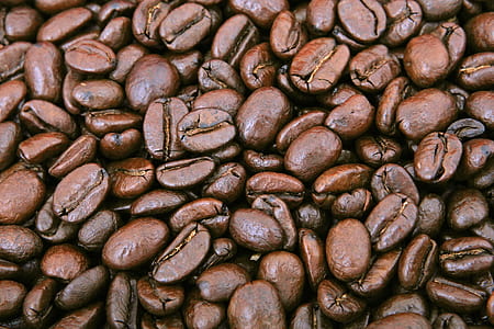 coffee seeds thumbnail