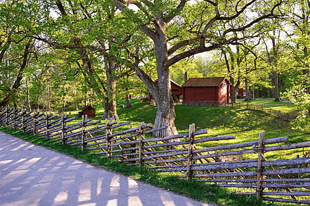 brown wooden fence thumbnail