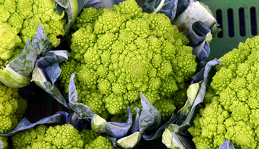 broccoli thumbnail